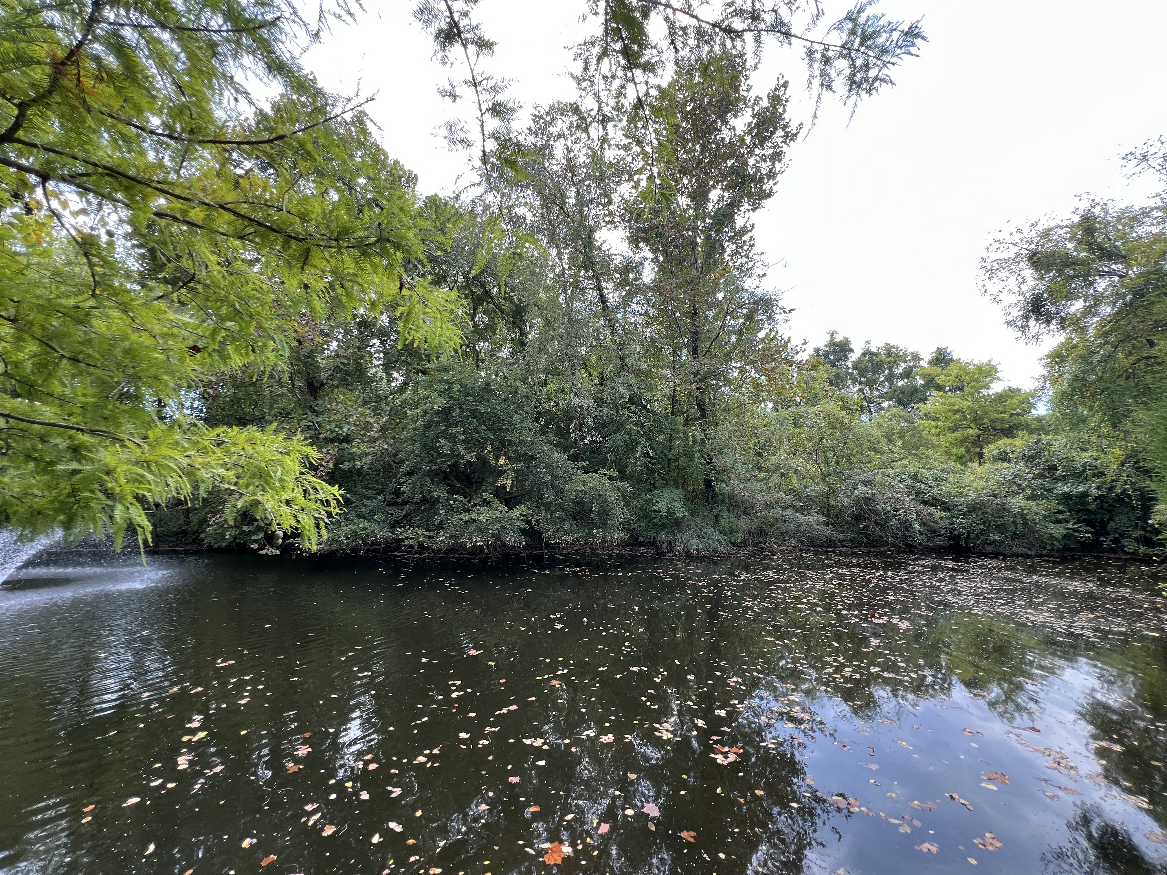 ./2025/11 - Nashville Trip/IMG_7123.JPG